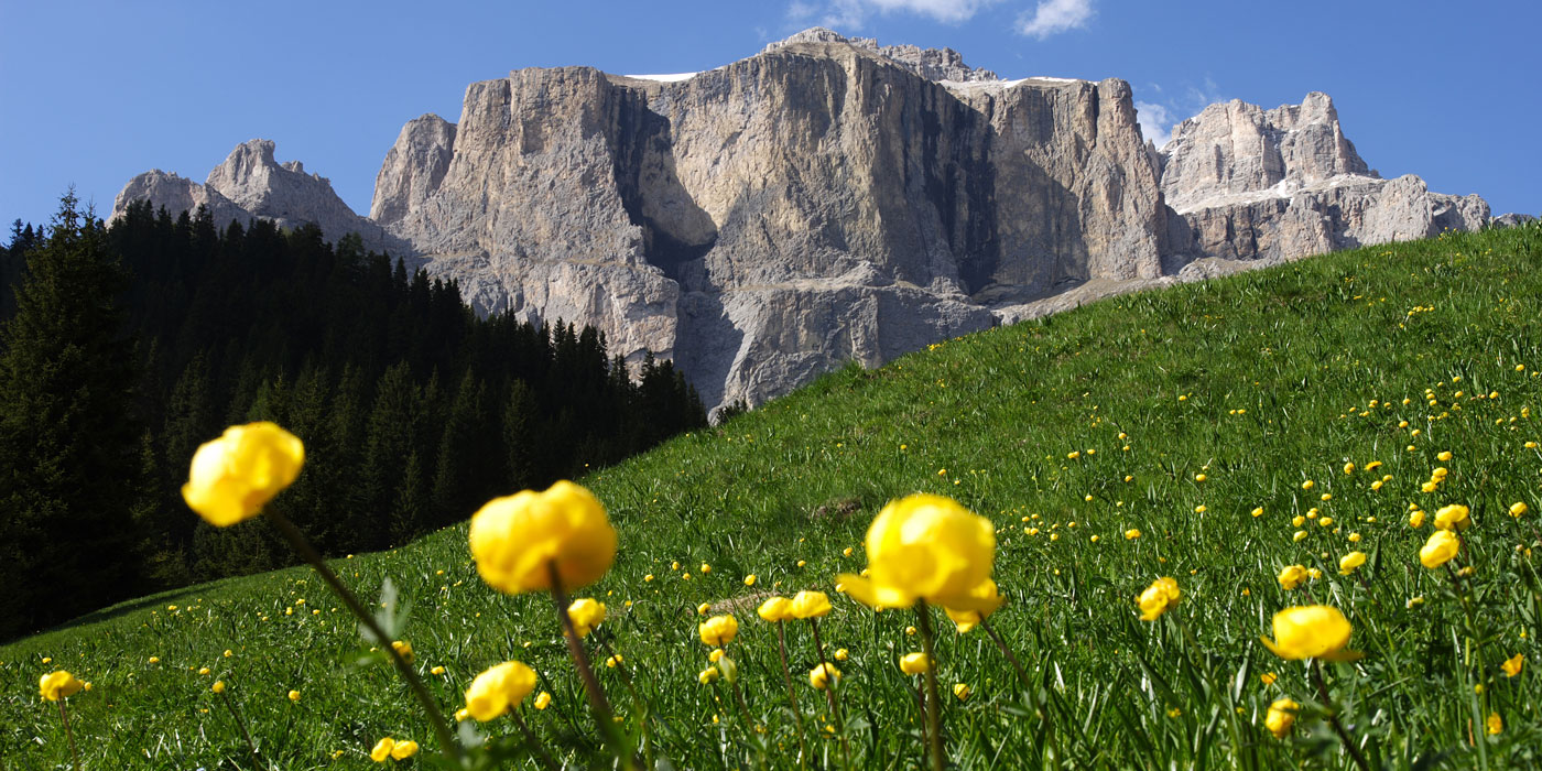 Trentino Alto Adige